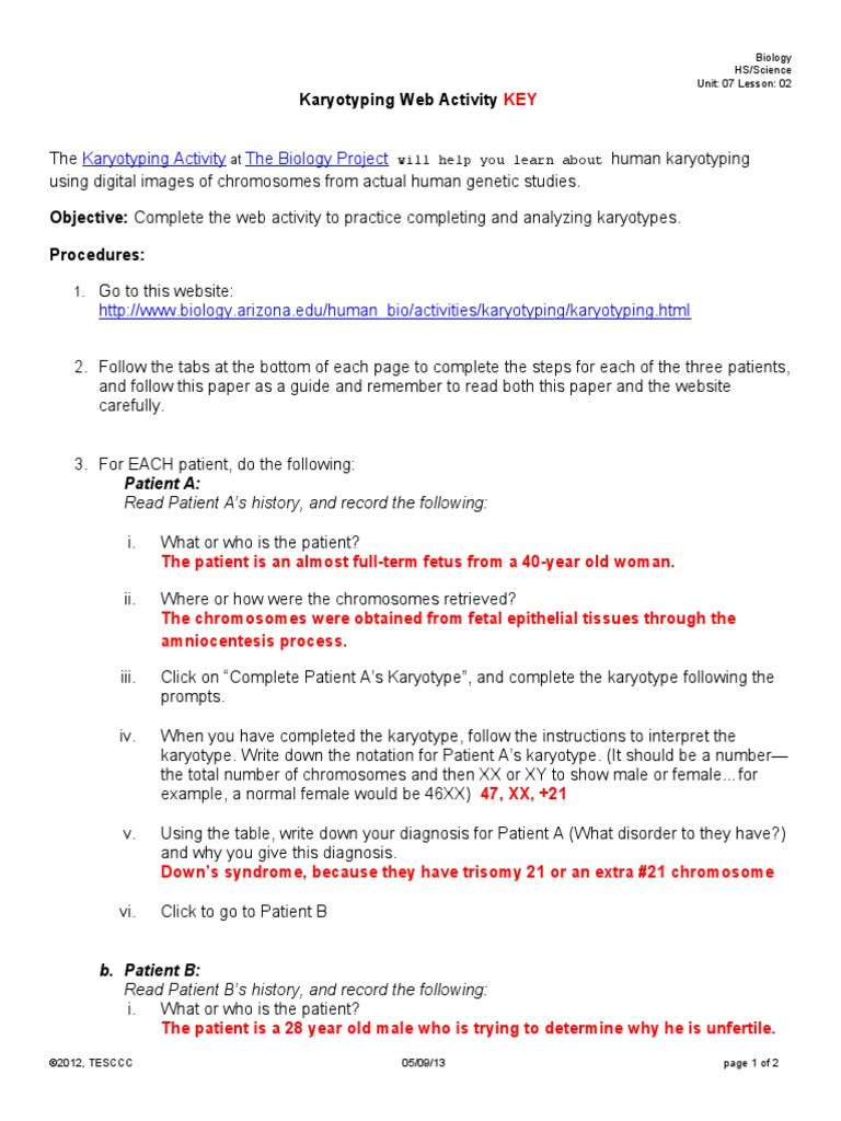 30 Biology Karyotype Worksheet Answers Key Education Template