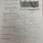 30 Enzymes Worksheet Answer Key Education Template