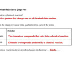 30 Enzymes Worksheet Answer Key Education Template