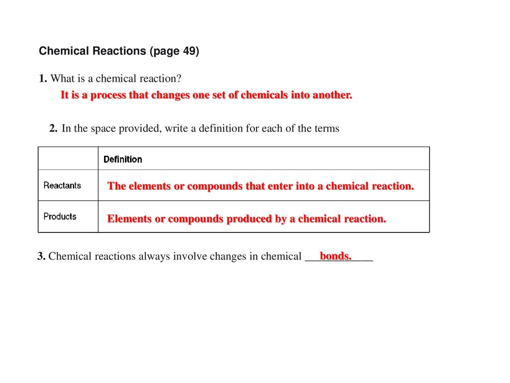 30 Enzymes Worksheet Answer Key Education Template