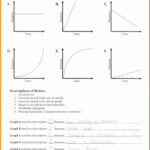 30 Motion Graphs Worksheet Answers Education Template