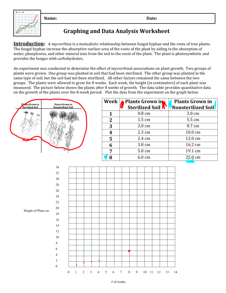 34 Graphing Of Data Worksheet Answers Support Worksheet