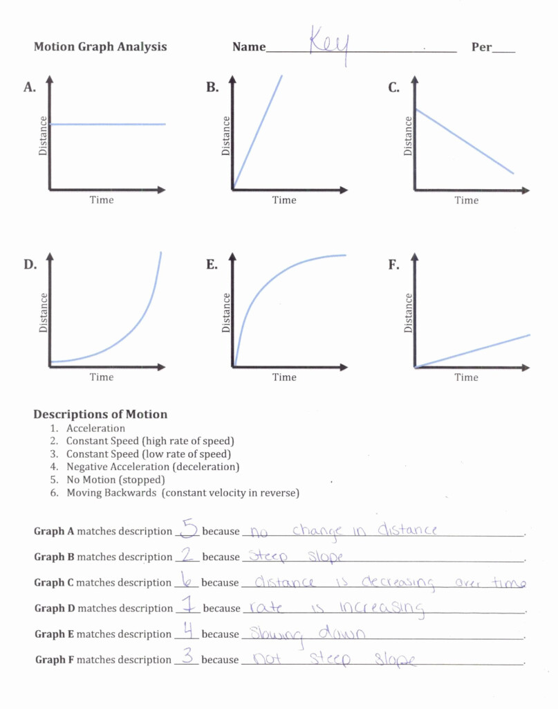 50 Motion Graphs Worksheet Answer Key Chessmuseum Template Library