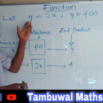 Algebraic Functions Linear Function Quadratic Function Cubic