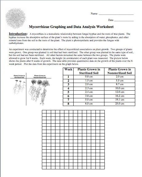 Amy Brown Science Here s A New FREEBIE For You