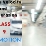 Class 9 Physics Chapter 1 Motion Average Speed And Velocity