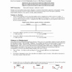 Distance And Displacement Worksheet Answers Unique 1d Motion Worksheet