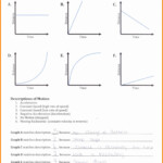 Distance Vs Time Graph Worksheet Answer Key Distance Vs Time Graphs