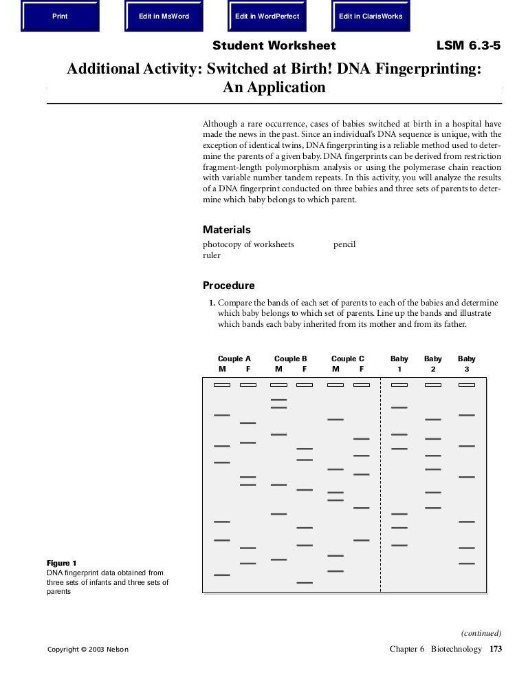 Dna Fingerprinting Activity Worksheet Printable Worksheet Template