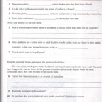 Ecosystem Worksheets Grade 7 Ecosystem Worksheets Worksheets For