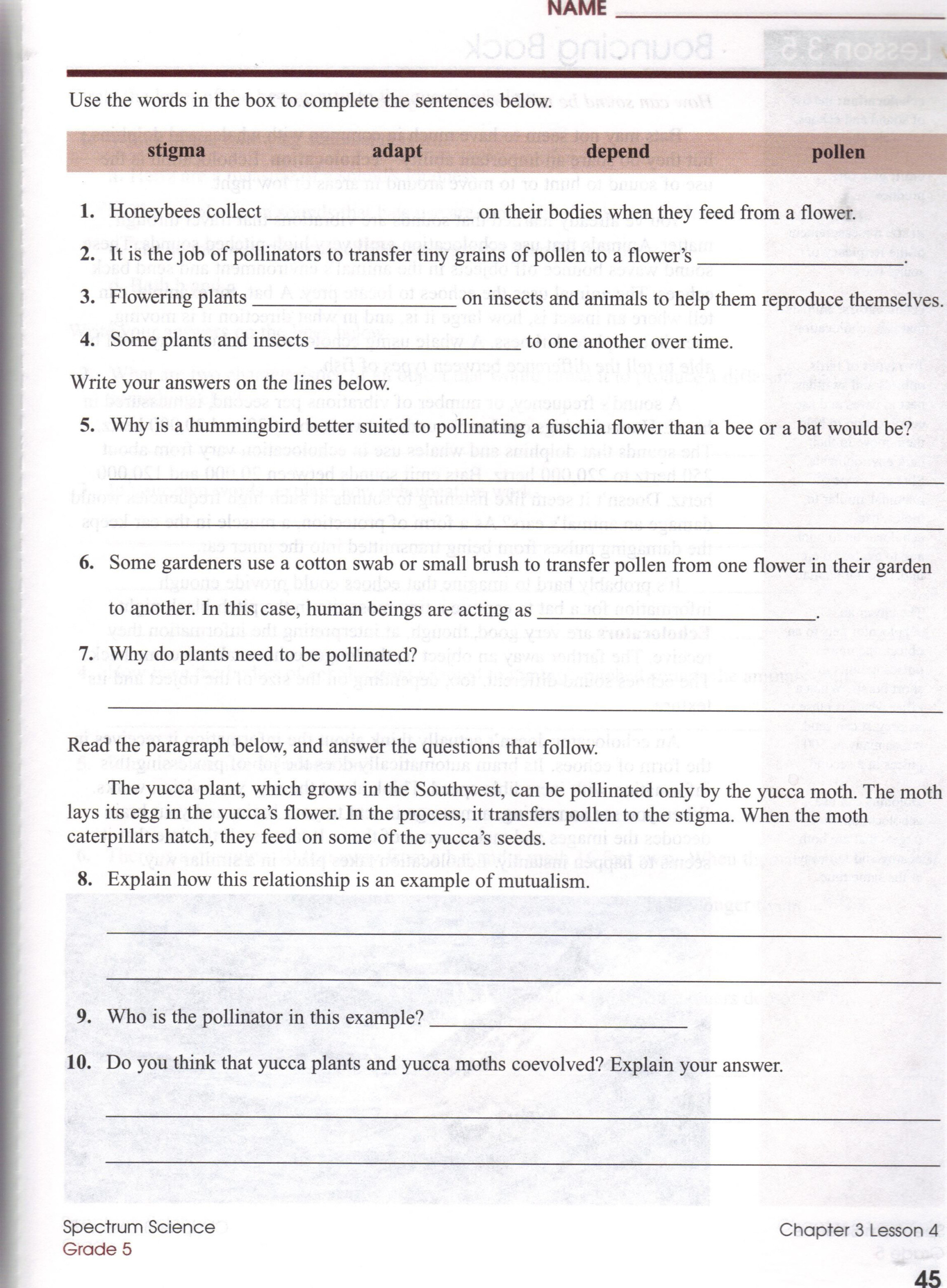 Ecosystem Worksheets Grade 7 Ecosystem Worksheets Worksheets For 