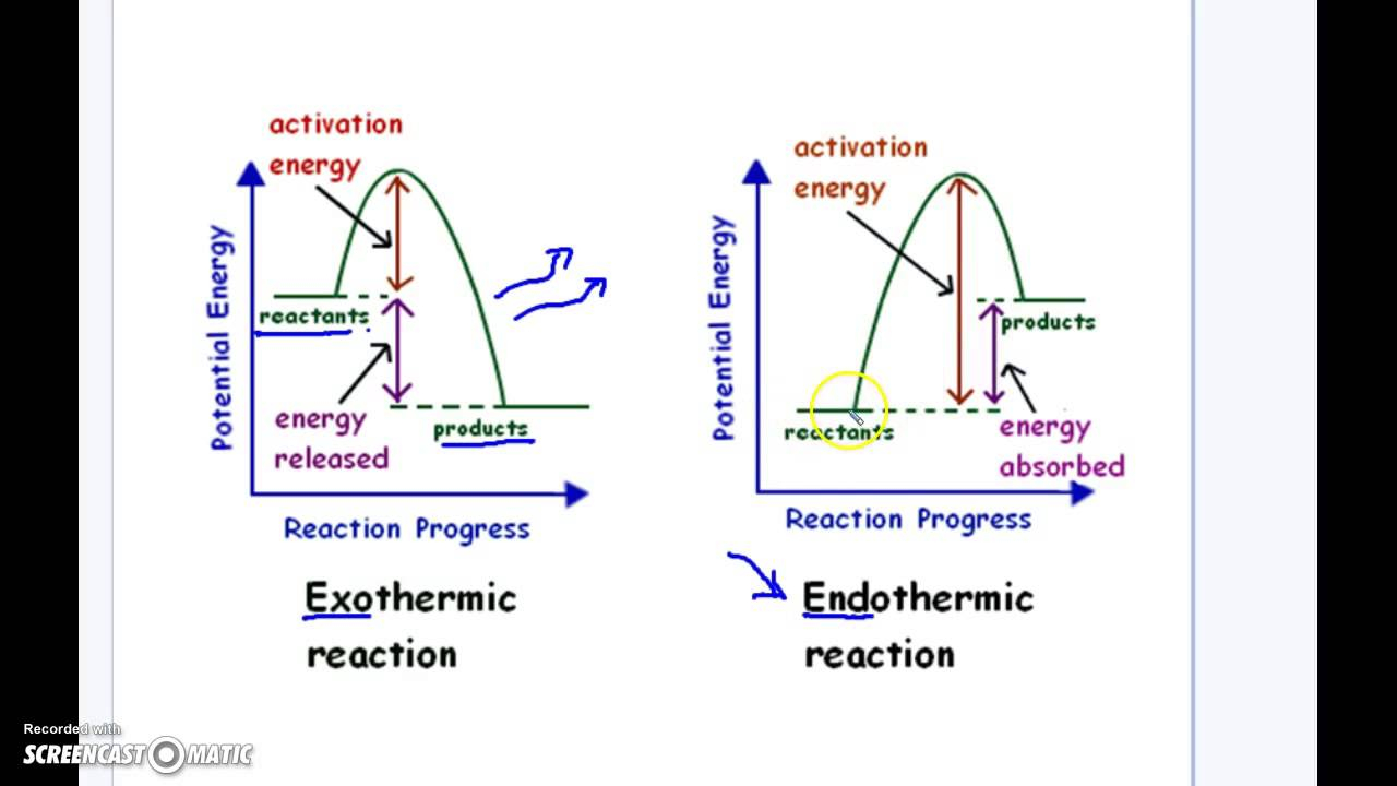 Energy Diagram For Endothermic Reaction Wiring Site Resource