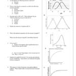 Enzyme Graphing Worksheet