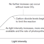 Equation For Light Intensity Tessshebaylo