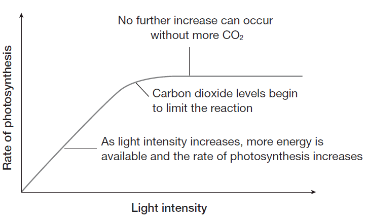 Equation For Light Intensity Tessshebaylo