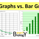 How To Make A Graph Line Vs Bar Graphs Graphing Basics YouTube