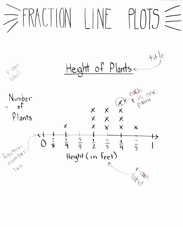 Line Graph Worksheet 3rd Grade Line Graph Worksheets Graphing Advanced 