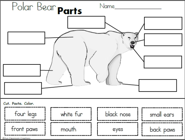 Polar Bear Parts Cut And Paste Made By Teachers