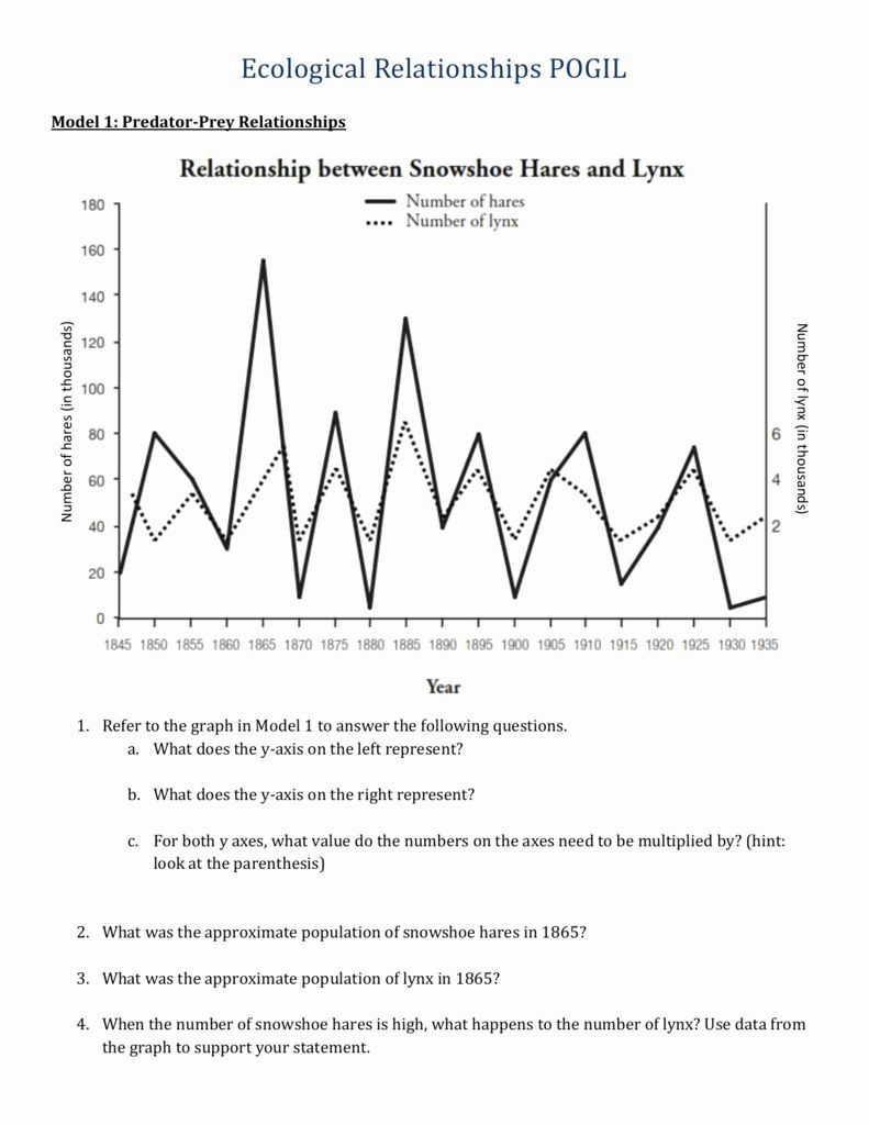 Predator Prey Graph Worksheet