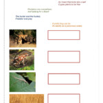 Predators Worksheet