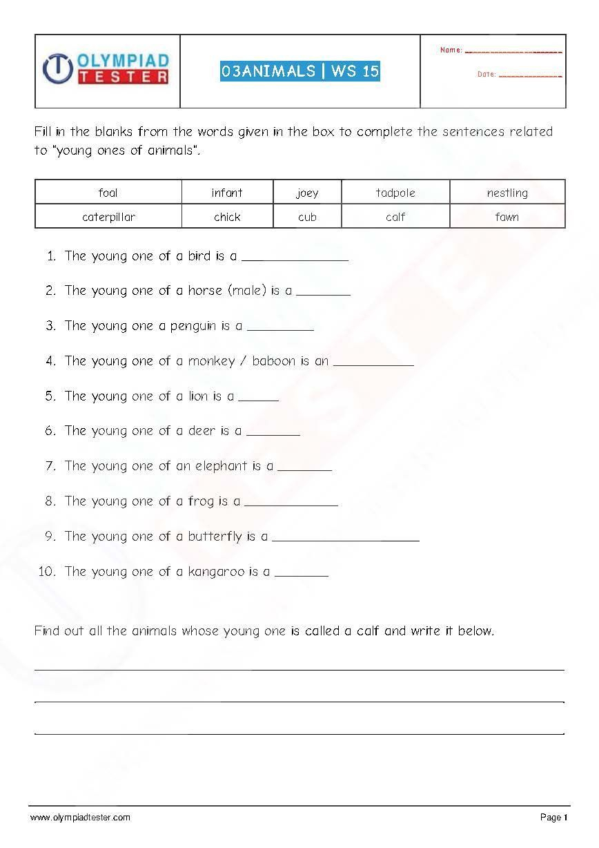 Science Fusion Grade 4 Worksheets Nonfiction Text Features Lesson 