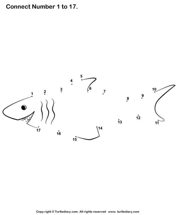 Shark Dot To Dot Worksheets 99Worksheets