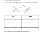 Sharks At EnchantedLearning