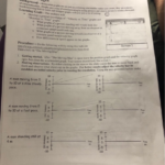 Solved Moving Man Velocity Vs Time Graphs Student Page Chegg