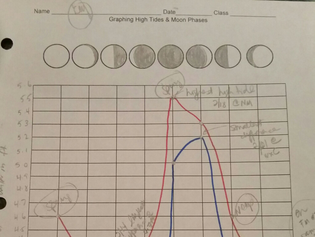 Tides Worksheet Answer Key Printable Worksheet Template