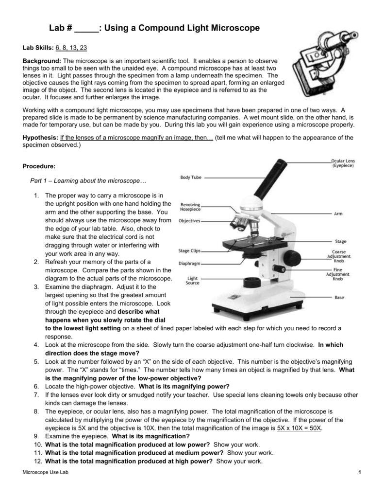 Using A Compound Light Microscope Laboratory Skills 5 Answer Key 