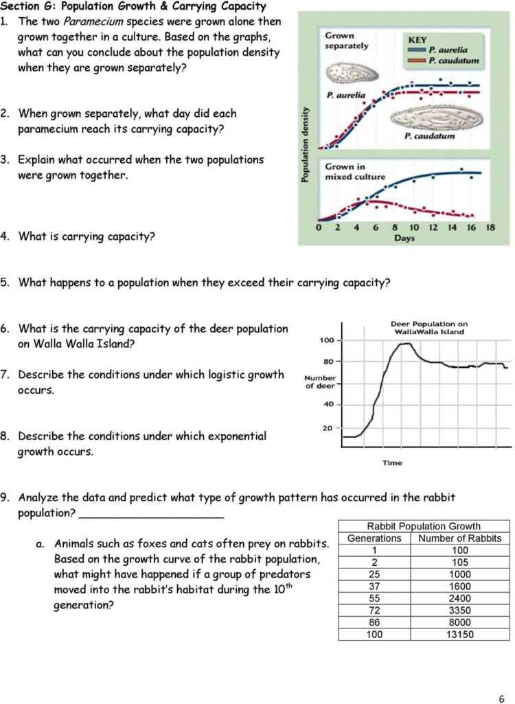 30 Population Ecology Graphs Worksheet Answers Education Template