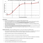 Analyzing Graphs Of Motion Without Numbers Worksheet Answers Robert