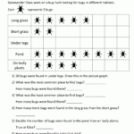 Bar Graphs 3rd Grade