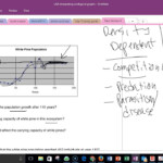 Population Ecology Graph Worksheets Answers