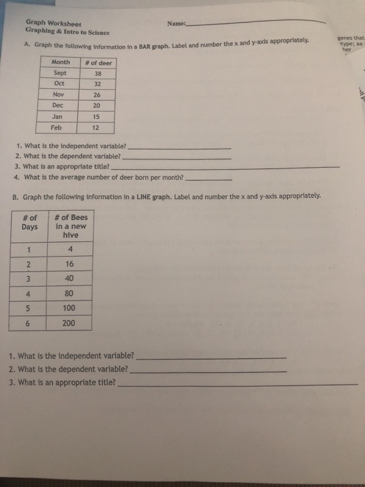 Solved Graph Worksheet Graphing Intro To Science Name Chegg